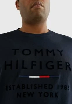 Tommy Hilfiger Plus Flock Logo Long Sleeve - Longsleeve - Desert Sky -dress shop 3704a3b97a844d0b9e8e9c96eafc5e82