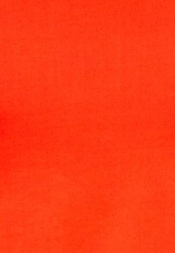 WEEKDAY Lacing Long Sleeve - Longsleeve - Red -dress shop b55e43617a954826a1b2a5e7128acf83